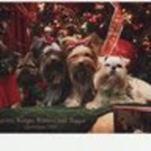 Meet your Posher, Jackie